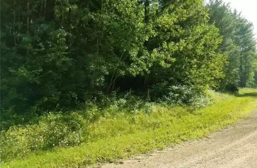 Lot 35 297th, Eau Galle, Wisconsin 54737, ,Vacant land,For sale,297th,1571414