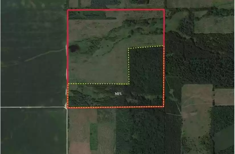 XXX 650th St, Durand, Wisconsin 54736, ,Vacant land,For sale,650th St,1575959