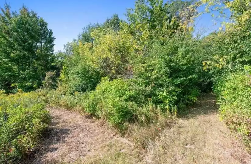 Lot 2 30th, Clear Lake, Wisconsin 54005, ,Vacant land,For sale,30th,1578005