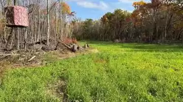0 Lot 1 Squirrel, Hixton, Wisconsin 54635, ,Vacant land,For sale,Squirrel,1578024
