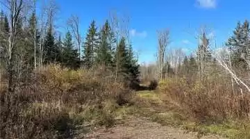 9.93 Acres County Hwy CC, Couderay, Wisconsin 54828, ,Vacant land,For sale,County Hwy CC,1578073