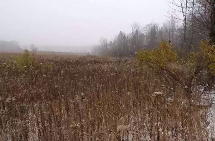 On CTH W, Winter, Wisconsin 54896, ,Vacant land,For sale,CTH W,1578139